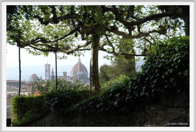 giardino_delle_rose6