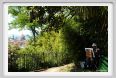 giardino_delle_rose03c