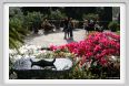 giardino_delle_rose1