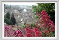 giardino_delle_rose1a
