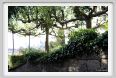 giardino_delle_rose5