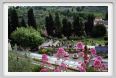 giardino_delle_rose5a