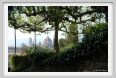 giardino_delle_rose6