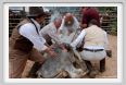 la_forra165