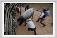 la_forra120