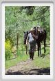 la_forra449