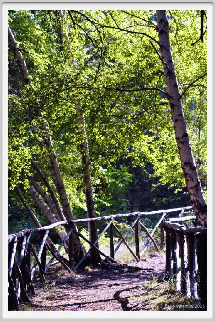 santa_barbara_bosco03