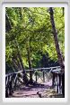 santa_barbara_bosco03