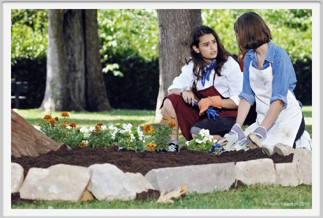 momu1260