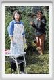 momu2903