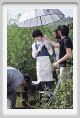 momu2896