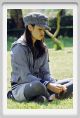 momu3456
