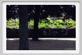momu_bkg026