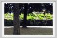 momu_bkg028