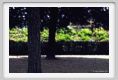 momu_bkg029