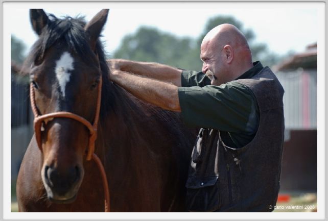 nitriti_veterinario013