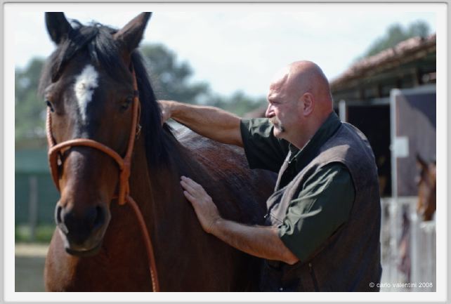 nitriti_veterinario015