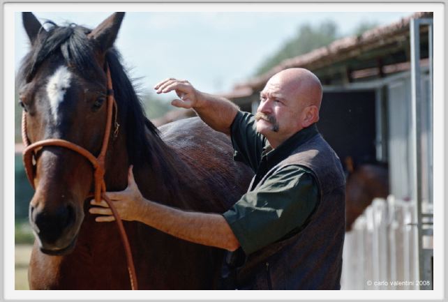 nitriti_veterinario016