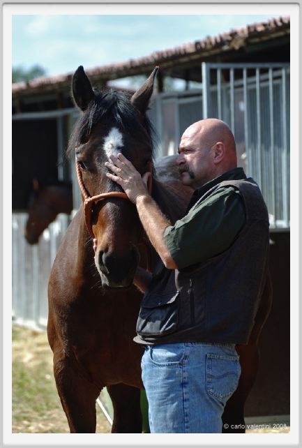 nitriti_veterinario022