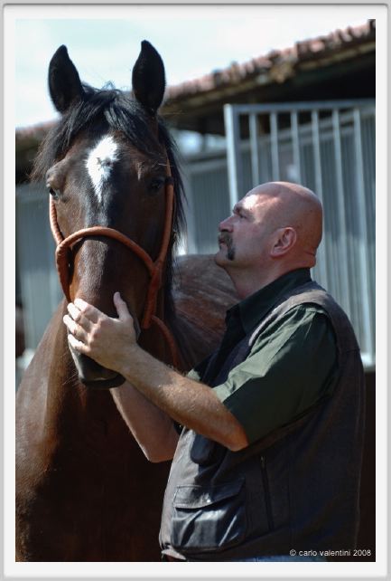 nitriti_veterinario024