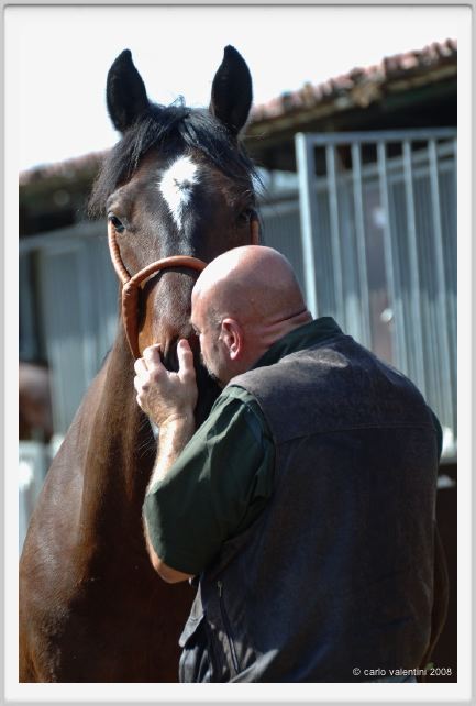 nitriti_veterinario025