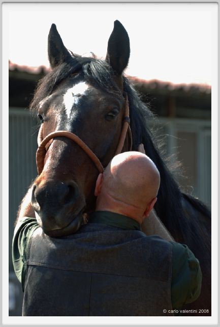 nitriti_veterinario026