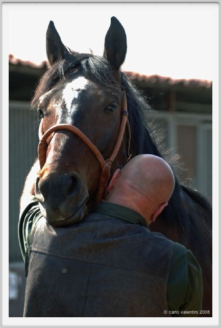 nitriti_veterinario027