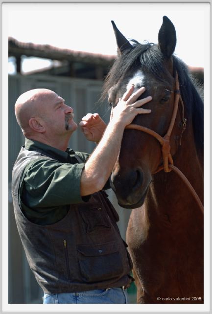 nitriti_veterinario002