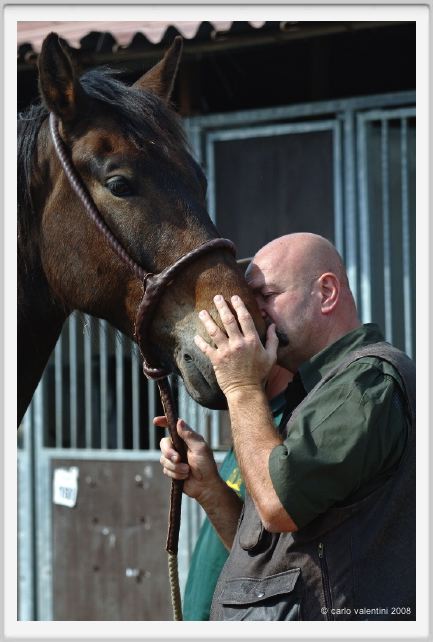 nitriti_veterinario030