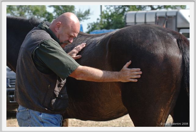 nitriti_veterinario037