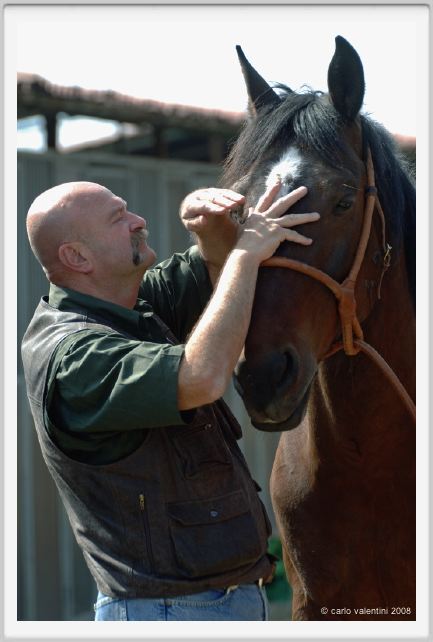 nitriti_veterinario003