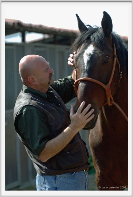 nitriti_veterinario004