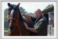nitriti_veterinario015