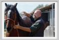 nitriti_veterinario016