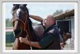 nitriti_veterinario017