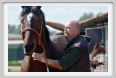 nitriti_veterinario018