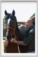 nitriti_veterinario019