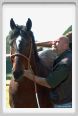 nitriti_veterinario020