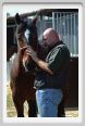 nitriti_veterinario021