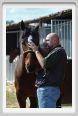 nitriti_veterinario022