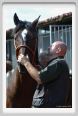 nitriti_veterinario023