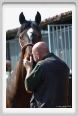 nitriti_veterinario025