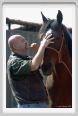 nitriti_veterinario002