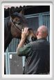 nitriti_veterinario031