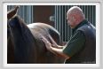 nitriti_veterinario045