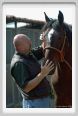 nitriti_veterinario004