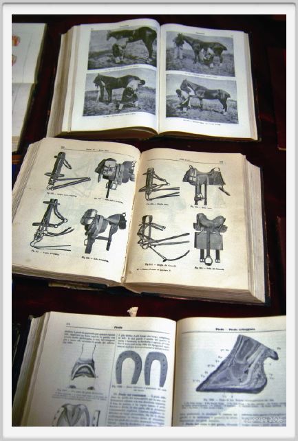 museo_delle_carrozze013