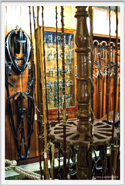 museo_delle_carrozze044