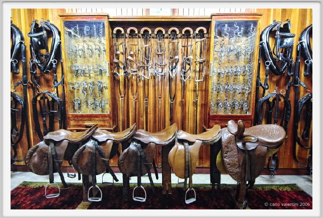 museo_delle_carrozze047
