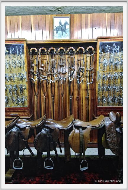 museo_delle_carrozze048